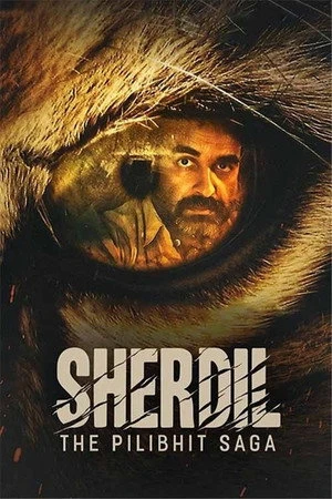 Sherdil: The Pilibhit Saga 2022 Hindi Dual Audio WEB-DL 720p - 480p - 1080p